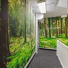 Image 5: Relax & Detox: Full-Body Lymphatic Massage at Wildflower Spa