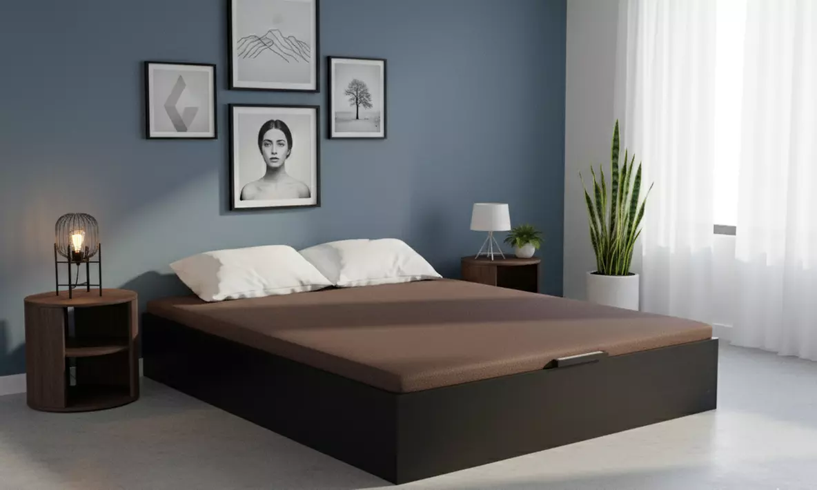 Canapé Abatible Altura 32cm ENVIO, MONTAJE Y RECOGIDA ANTIGUO GRATIS, Gran Capacidad, Madera, Tapa 3D,Wengué - Second Medium