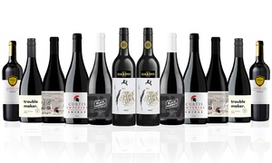 12x Premium Mix Shiraz