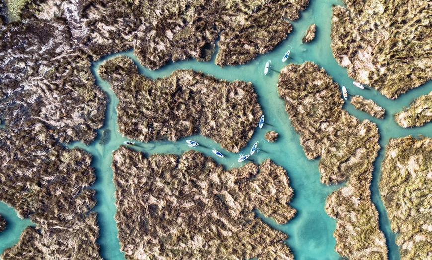 Image 7: Experiencia de paddle surf de 2 horas para 1 o 2 personas 