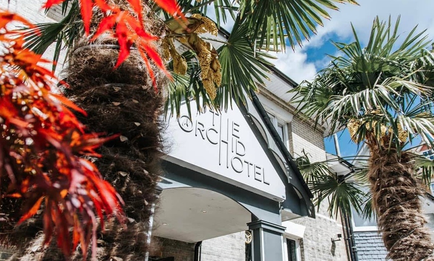 Image 9: Two- or Three-Course Meal with Glass of Wine/Beer or Soft Drink