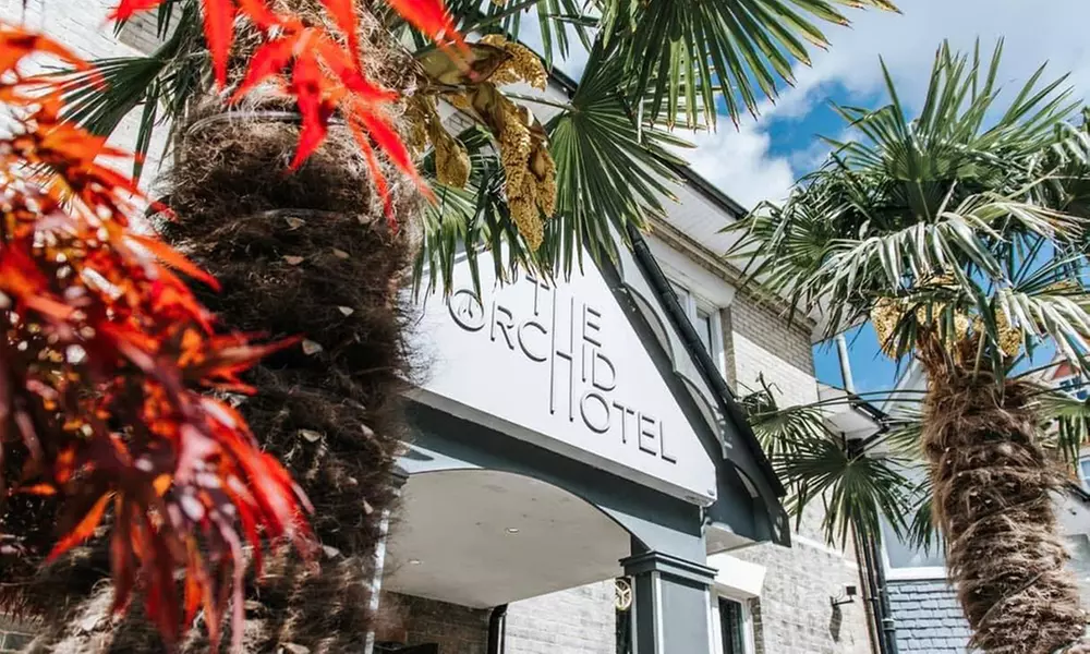 Two- or Three-Course Meal with Glass of Wine/Beer or Soft Drink