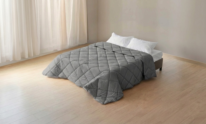 Image 14: Trapunta invernale matrimoniale in velluto