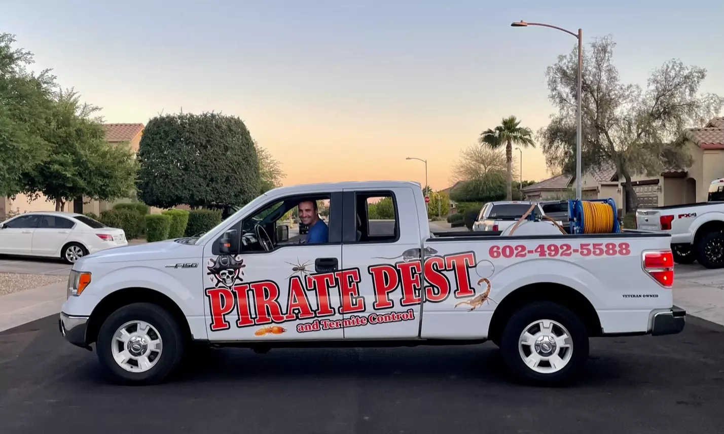 Up to 50% Off on Pest Control Service - Termite at Pirate Pest and Termite Control - Primary Image