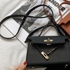 Image 1: Mini Birkin-Inspired Crossbody Bag