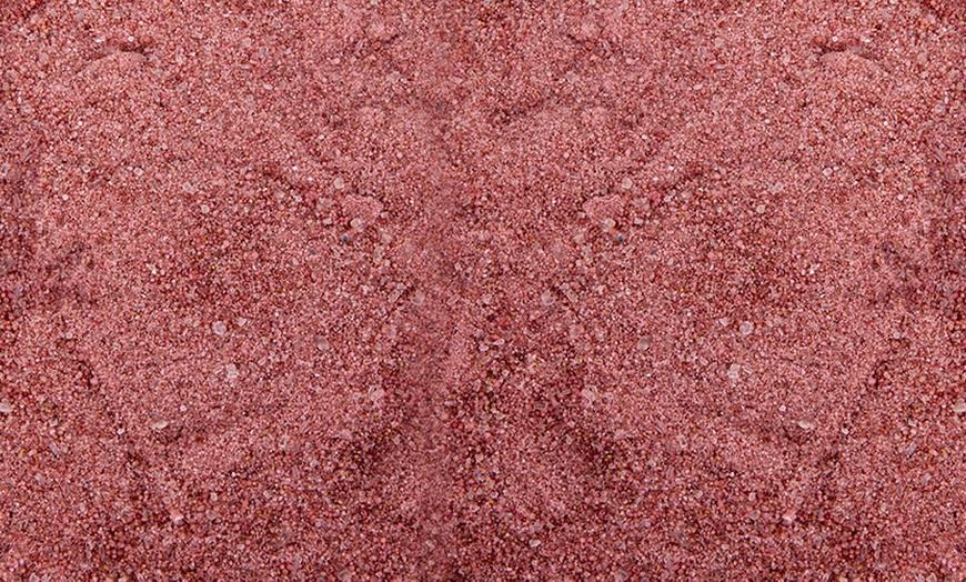 Image 11: Summer Flowering Bulb Collection