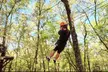 Soar Through the Trees on a 9-Zipline Course for 2-8 People at Adventures Unlimited (Up to 37% Off) - Second Medium