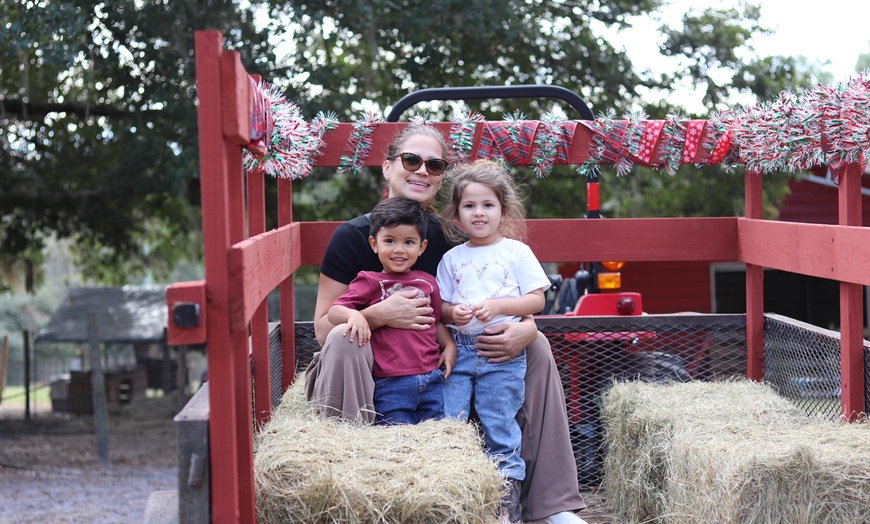 Image 7: Hands-On Animal Encounters Polk City