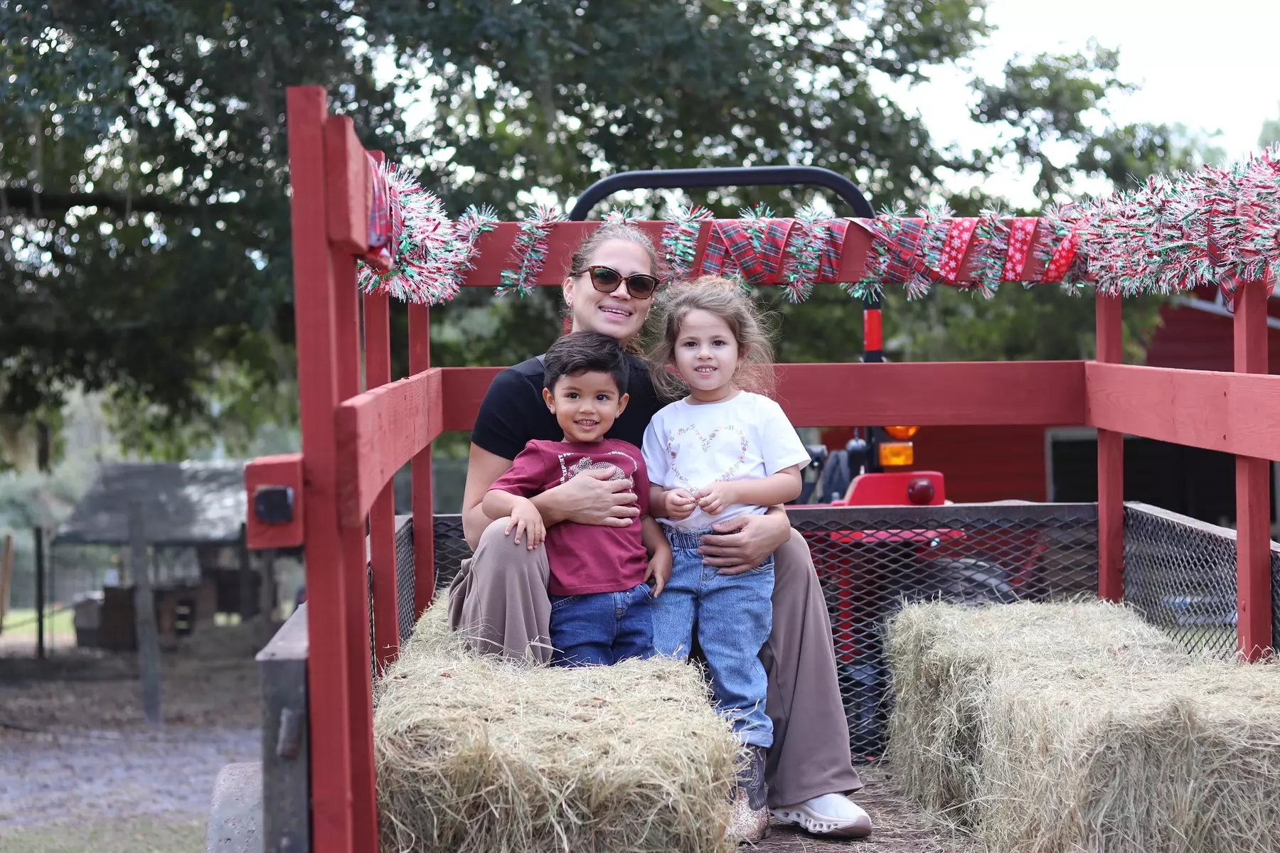 Hands-On Animal Encounters Polk City