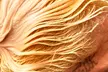 Experience Stunning Transformation with Shampoo, Conditioner, Blow out, Highlights, & More at 40% Off) - Second Medium