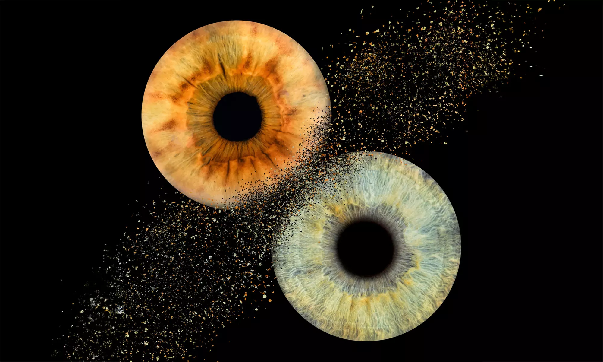 1 ou 2 photographies numériques personnalisées de votre iris avec Iris Fine Art (jusqu'à 73% de remise) - Primary Image