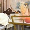 Image 1: Luxury Japanese Head Spa: Deep Cleansing and Stress-Relief Treatment
