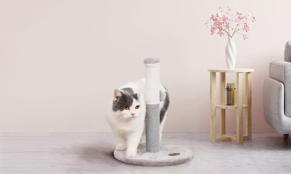 Tiragraffi in sisal naturale con base rinforzata in vari modelli e colori