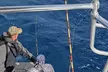 Embark on an Adventure with 4 or 8-Hr Sportfishing Charter Excursion For Up to Six, Save Big Up to  30% Off  - Second Medium