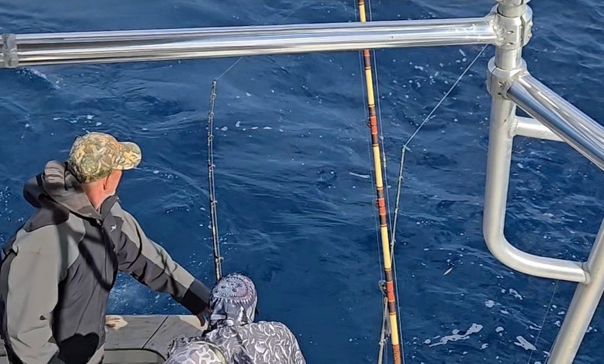Image 3: Four or Eight Hour of Sportfishing Charter Excursion For Up to Six 