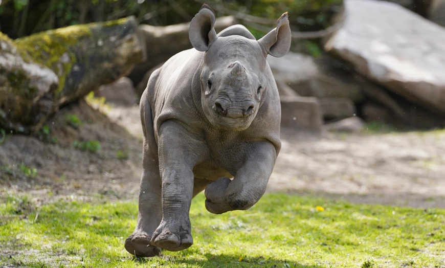 Image 3: Tageskarte für den Zoo Magdeburg für 1 oder 2 Personen