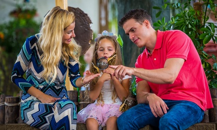 For One Adult: Butterfly Garden + Miracle Garden Dubai - Peace Land Travel and Tourism