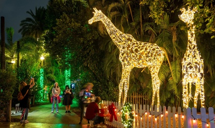 Child Zoo Light Ticket: Ages 3-12 (valid for a non-Premium Date) - Palm Beach Zoo & Conservation Society