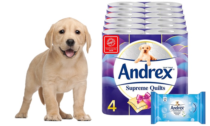 andrex-toilet-paper-groupon