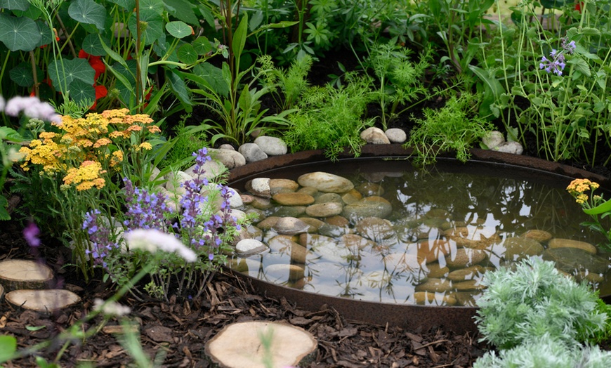 Image 8: BBC Gardeners’ World Live | June 12, 13, and 15, 2025 