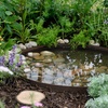 Image 8: BBC Gardeners’ World Live | June 12, 13, and 15, 2025 