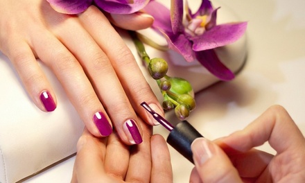 Full set Nail Extension Hardgel/polygel with gelish polish - Lck Ladies Salon