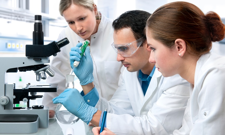 Image 1: Comprehensive Testosterone Level, Hormone, Health Bloodwork & More