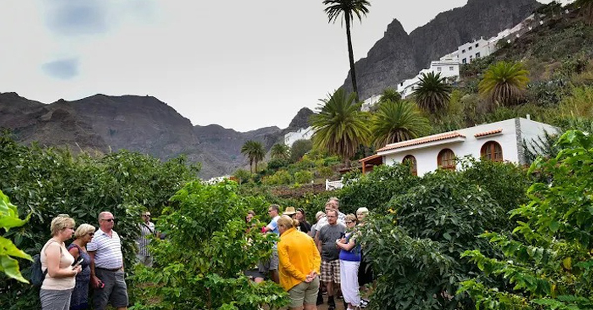 Visita a finca cafetera con degustación de café en Las Palmas