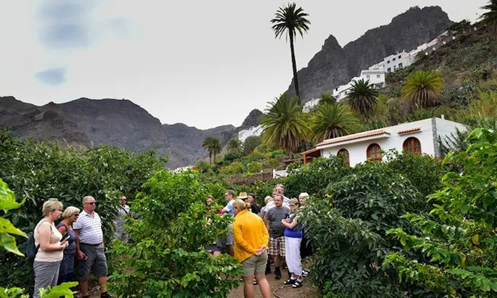 Visita a la Finca Los Castaños con degustación de café para 1, 2 o 4