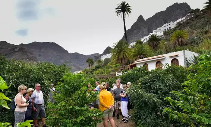 Visita a la Finca Los Castaños con degustación de café para 1, 2 o 4