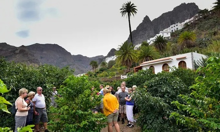 Para 1 persona: visita a la Finca Los Castaños con degustación de café - Finca Los Castaños