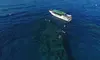 Snorkel Tour and Boat Ride with Kaanapali Ocean Adventures (Up to 20% Off). Two Options Available.