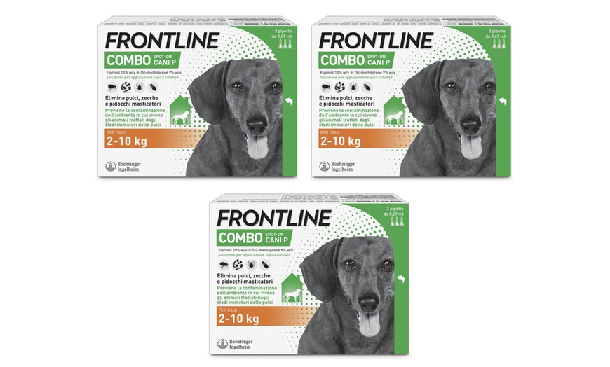 Image 16: Fino a 9 pipette Frontline Combo Spot-On per cani
