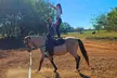 Excitement Awaits: Horse Vaulting Lessons or Gymnastics On Horseback at Victorious Vaulters ( Up to 59% Off ) - Second Medium