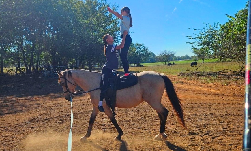Image 4: Enjoy Horse Vaulting Lessons or Gymnastics On Horseback