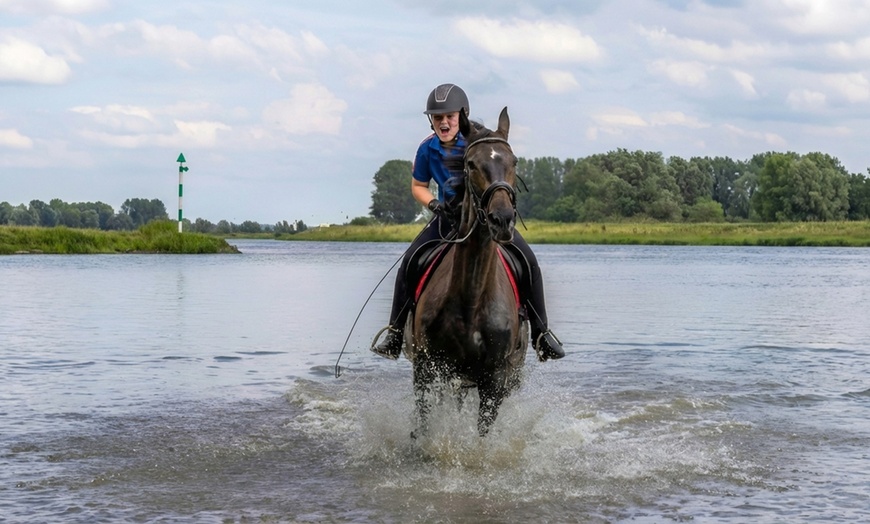 Image 4: Avontuurlijk paardrijden met bosrit of waterrit incl. begeleiding