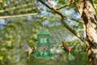 iMounTEK Hanging Wild Bird Feeders - Squirrel-Proof & 3-Tier Options - Second Medium