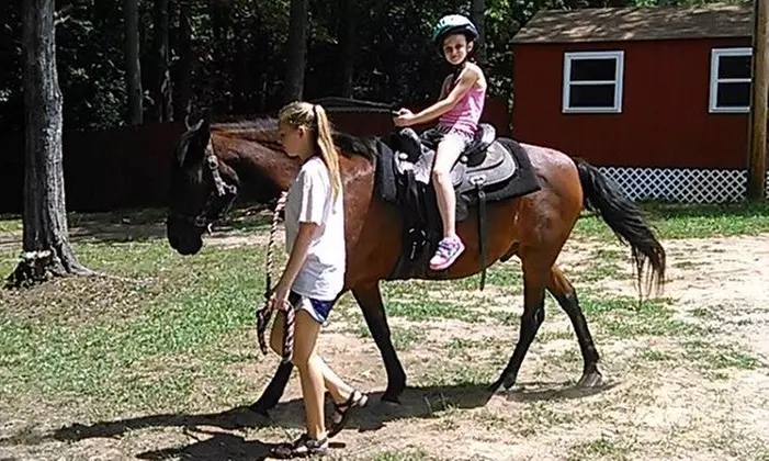 Three Horse Rides for One or Two Children at Whispering Hope Farm (Up to 47% Off) - Primary Image