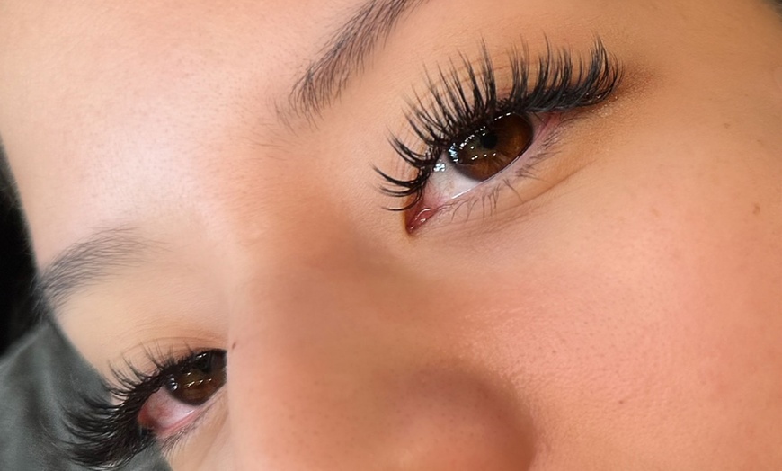 Image 6: Get Classic, Wet, Light Volume or Volume Eyelash Extensions