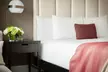 Hotel Commonwealth — Stay Near Fenway Park with Rooftop Lounger & Modern Comfort - Second Medium