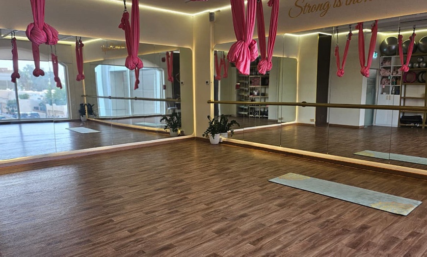 Image 3: Explore Aerial Yoga and Range of Fitness Sessions