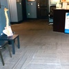 Image 8: Effective Consultation plus 1 or 3 Chiropractic Adjustments (60-Min)