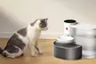 Petgravity Smart Automatic 3L Cordless Pet Water Fountain with Touch Controls - Second Medium