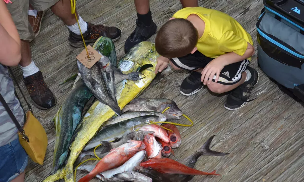 Special Celebration with Annual Christmas Regatta for Kids and Adults