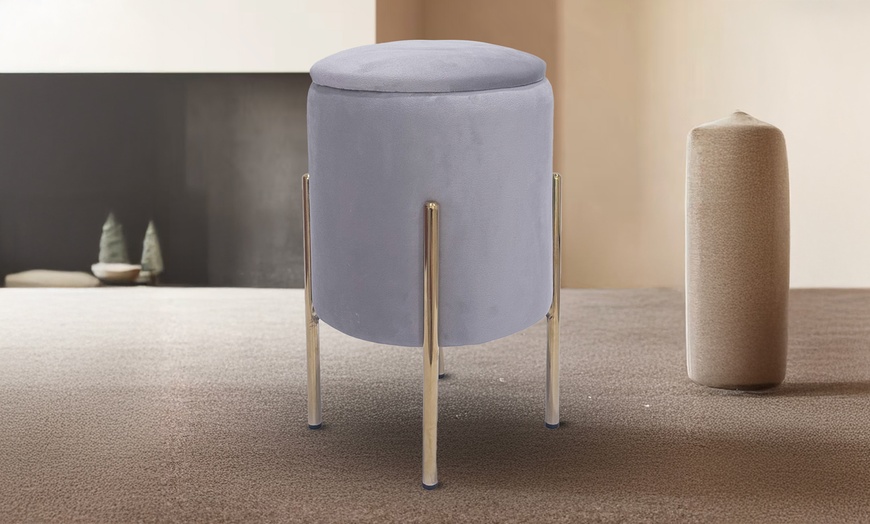 Image 3: Pouf contenitore in velluto