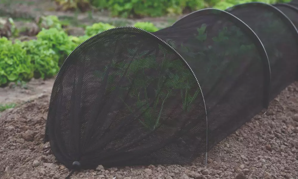 Garden Greenhouse Polytunnel Cloche and Protection Structure Range