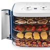Image 6: TODO 400W Food Dehydrator Stainless Steel Interior in Navy or White