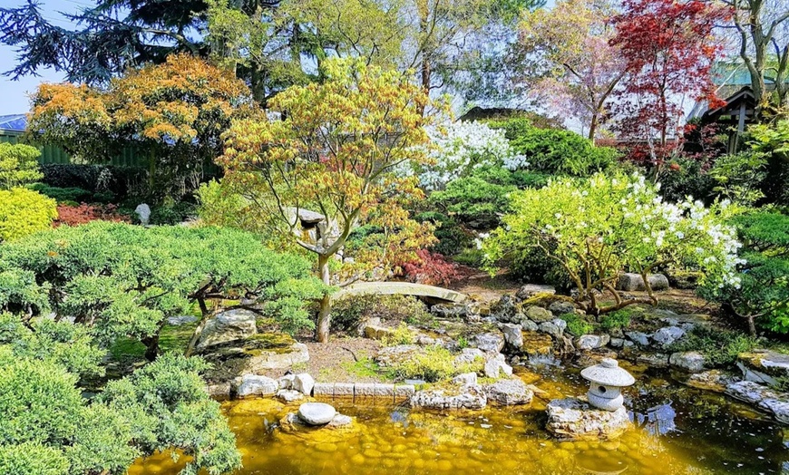 Image 6: Enjoy Family fun with Entry Tickets for Adults and Childrens