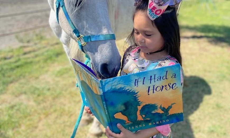 Image 5: 1,2 3, or 4 Horseback Riding Lessons for One Hour Each Sessions