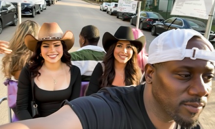 Pedicab Mural Tour for 4 People - 60 Minutes - Cityyacht Tours